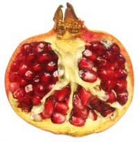 pomegranate cut in half to show seeds