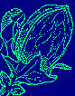 Walnut, symbol of 

Prostate Cancer Activism